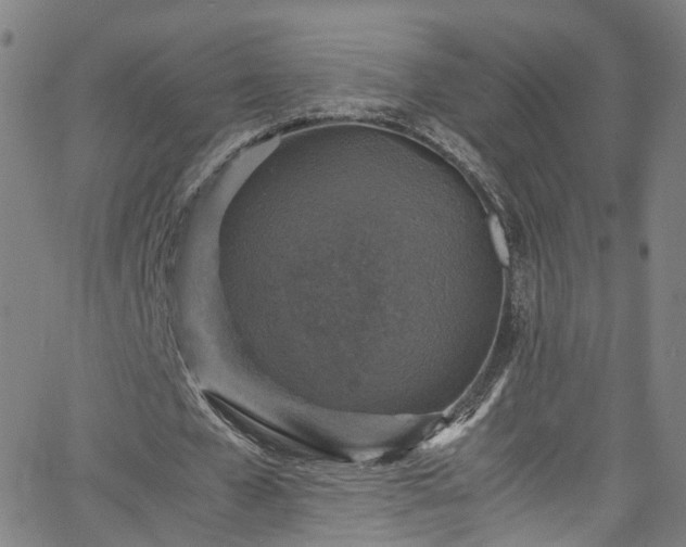 X0000065980577200603101424