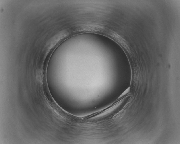 X0000065980578200603101424