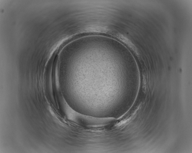 X0000065980580200603101424