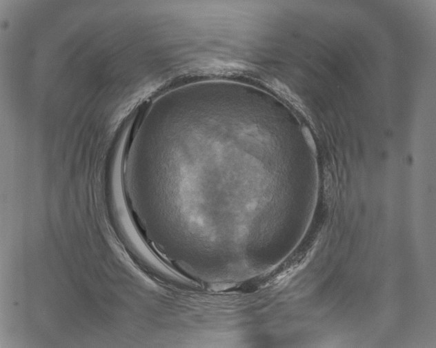 X0000065980581200603101424