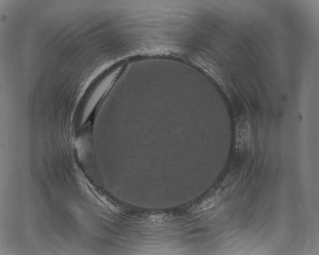 X0000065980584200603101424