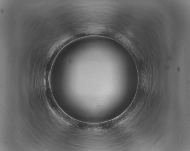 X0000065980586200603101424