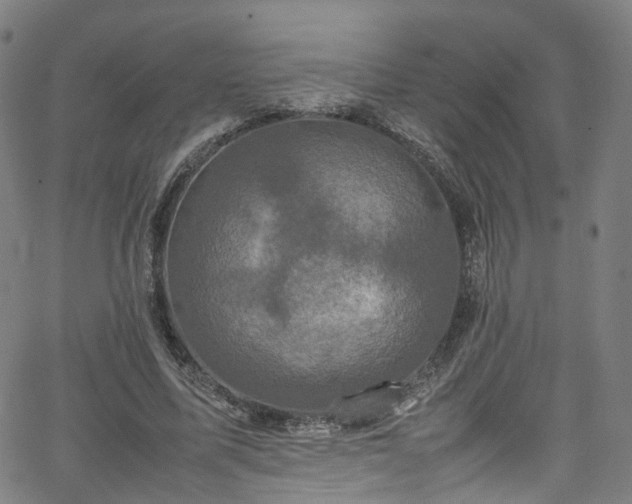 X0000065980587200603101424