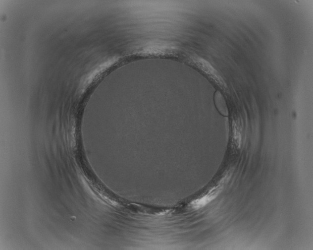 X0000065980588200603101424