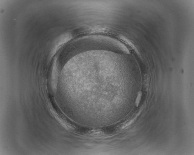 X0000065980589200603101424