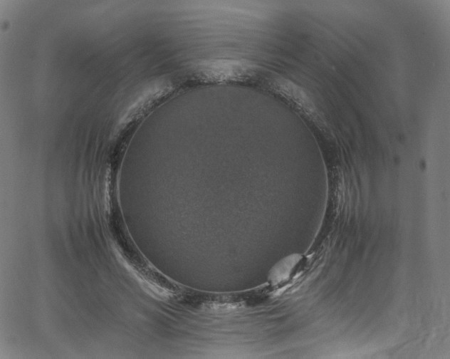 X0000065980590200603101424