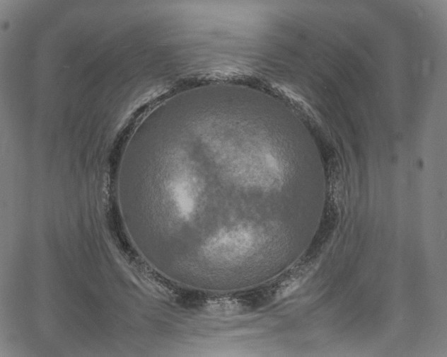 X0000065980591200603101424