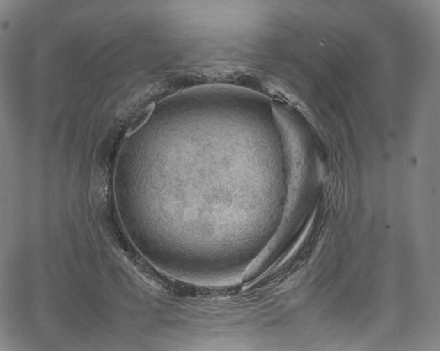 X0000065980593200603101424