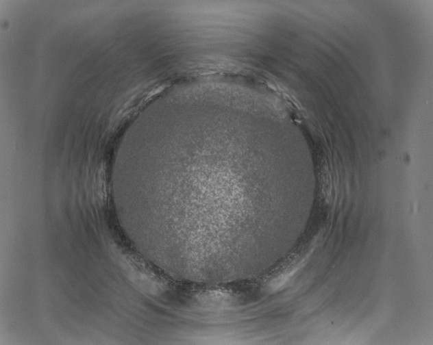 X0000065980594200603101424