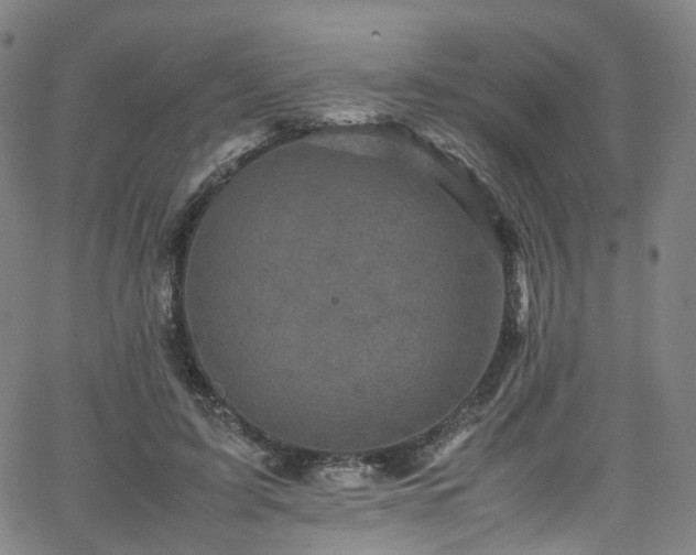 X0000065980595200603101424