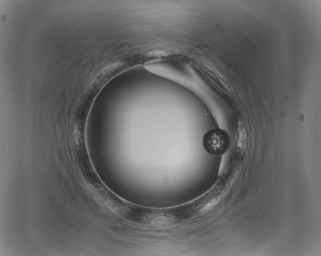 X0000065980597200603101424