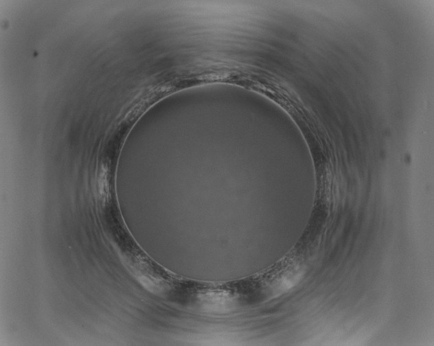 X0000065980598200603101424