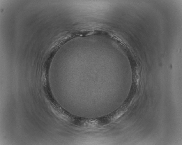 X0000065980599200603101424