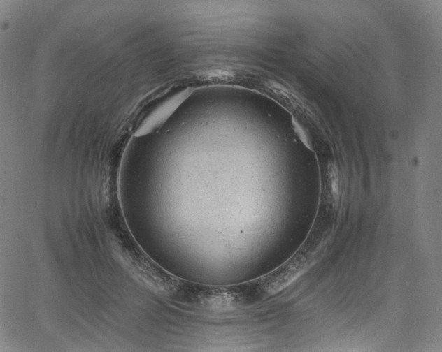 X0000065980600200603101424