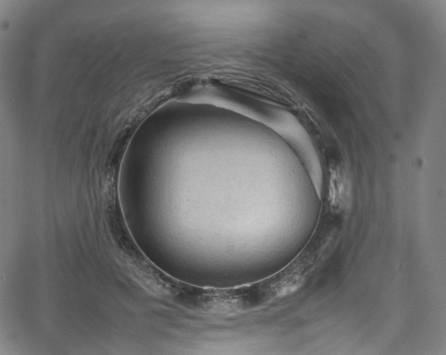 X0000065980601200603101424