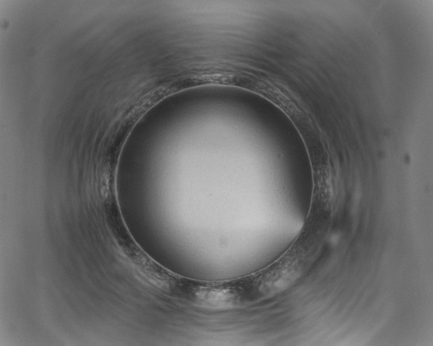 X0000065980602200603101424