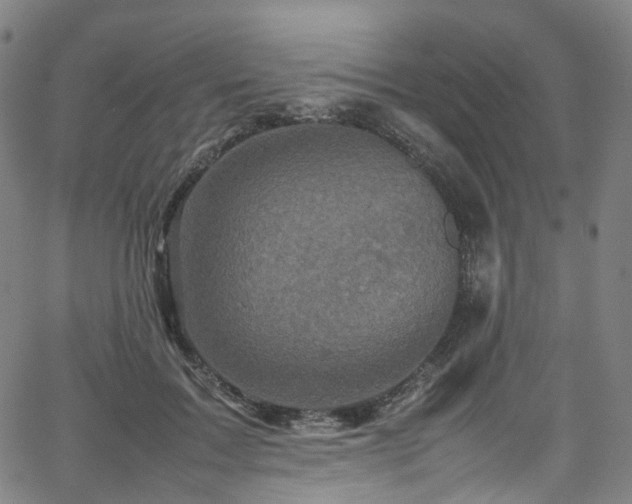 X0000065980603200603101424