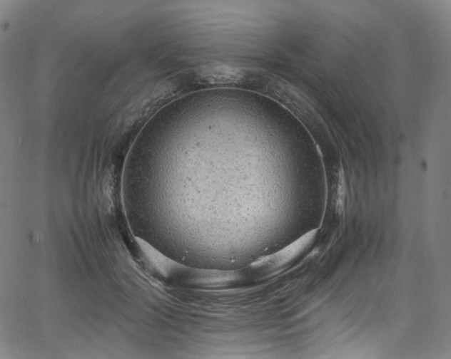 X0000065980604200603101424