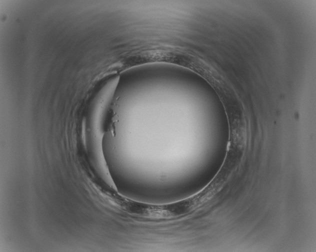 X0000065980605200603101424