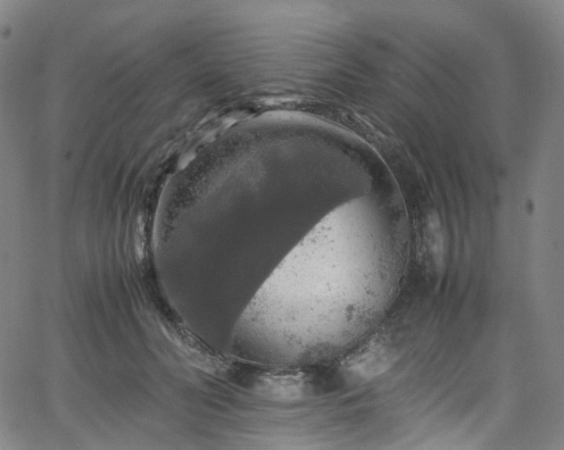 X0000065980606200603101424