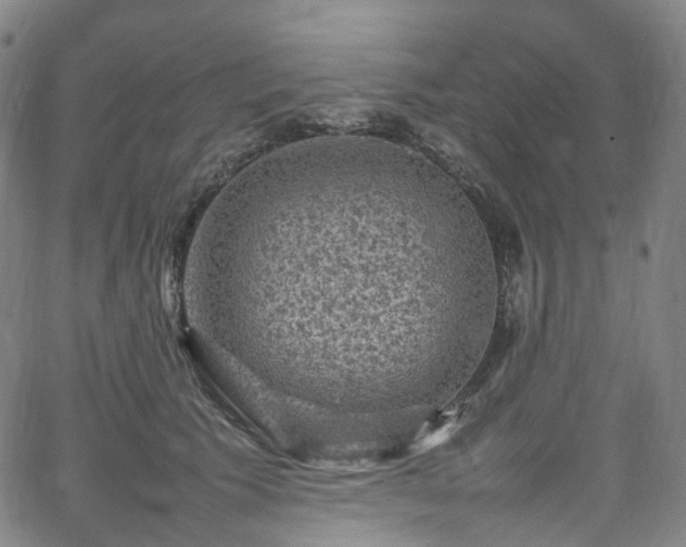 X0000065980609200603101424