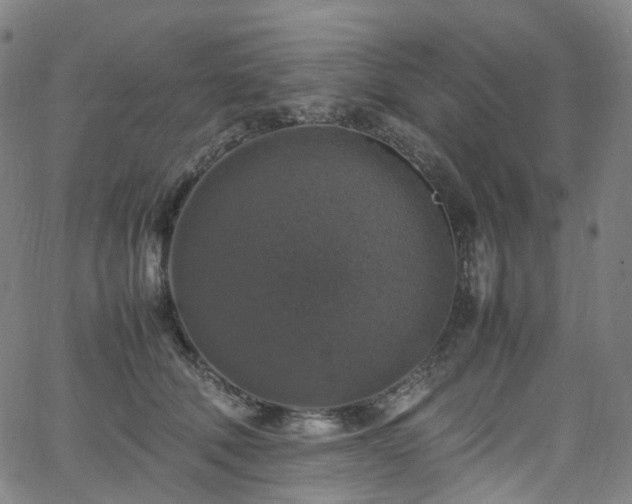 X0000065980610200603101424