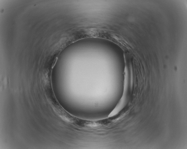 X0000065980611200603101424