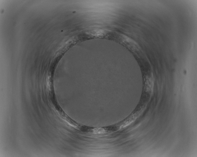 X0000065980612200603101424