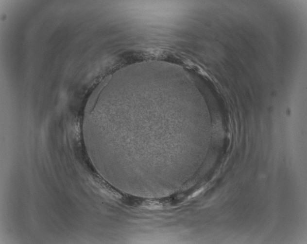 X0000065980613200603101424