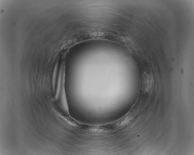 X0000065980614200603101424