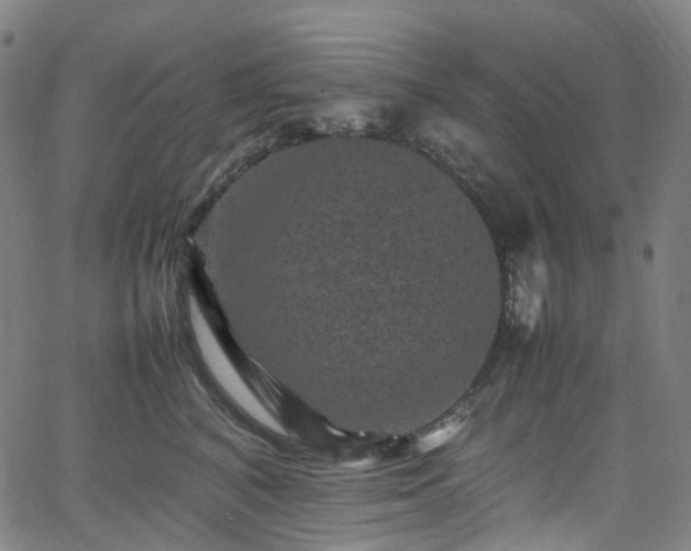 X0000065980616200603101424