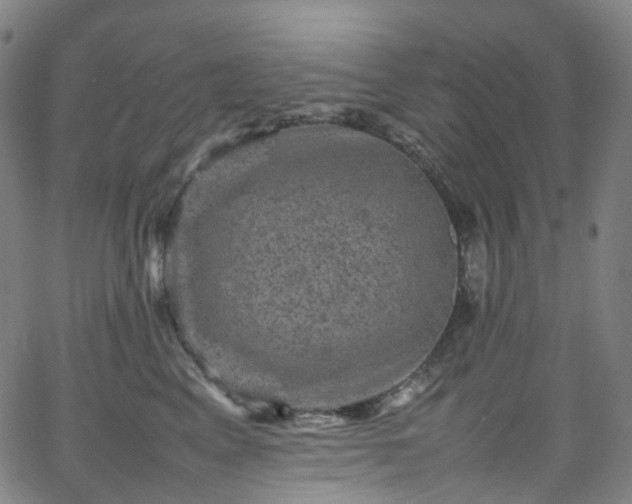 X0000065980617200603101424