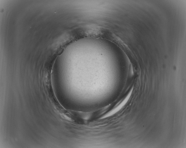 X0000065980619200603101424