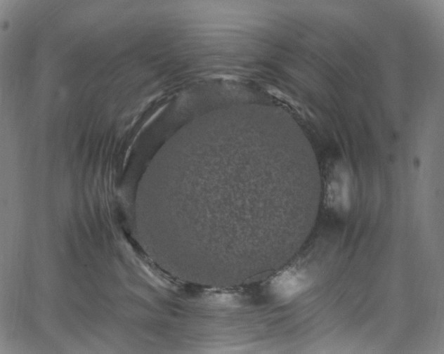 X0000065980620200603101424