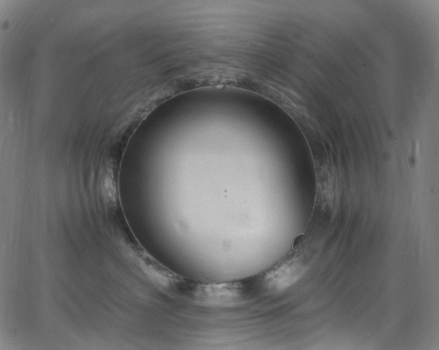 X0000065980622200603101424