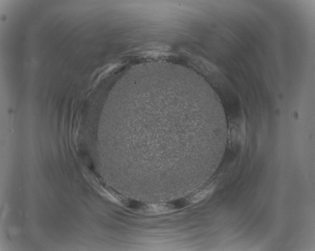 X0000065980623200603101424