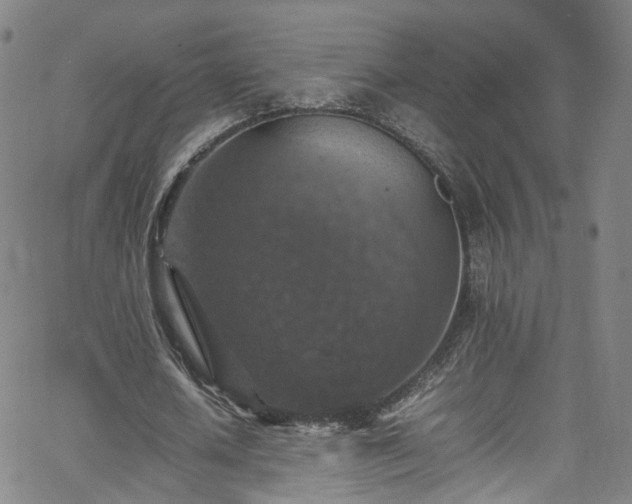 X0000065980626200603101423