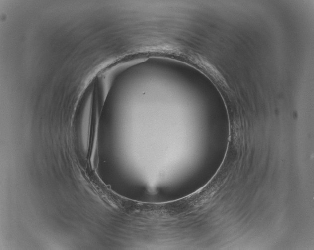 X0000065980628200603101423