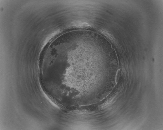 X0000065980630200603101423