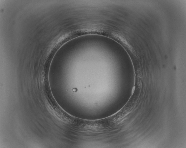 X0000065980631200603101423