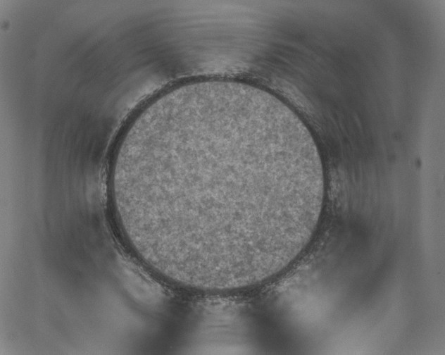 X0000065980632200603101423