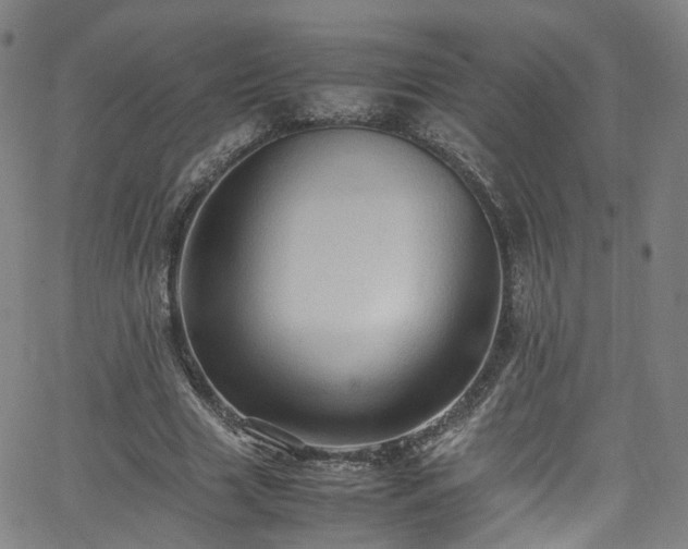 X0000065980633200603101423