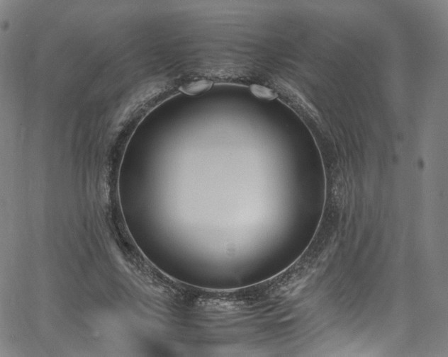 X0000065980635200603101423