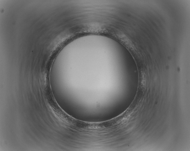 X0000065980636200603101423