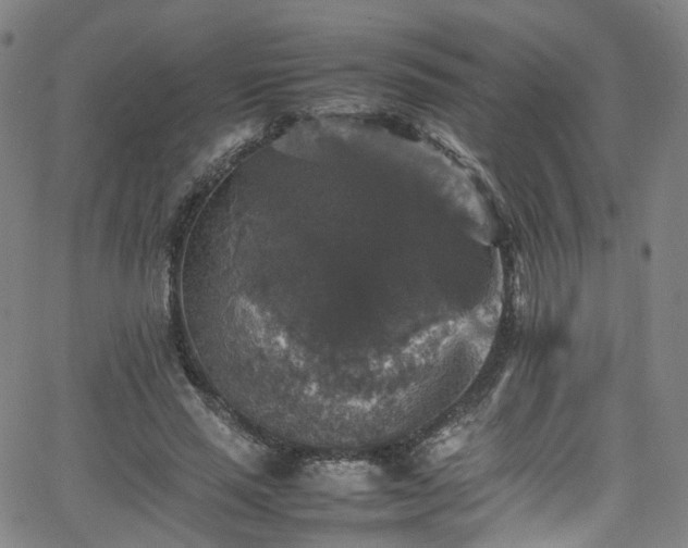 X0000065980637200603101423