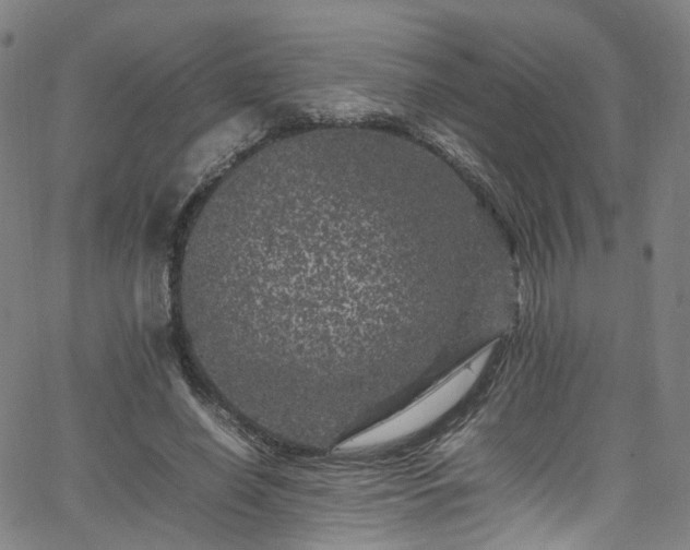 X0000065980638200603101423