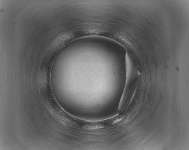 X0000065980639200603101423