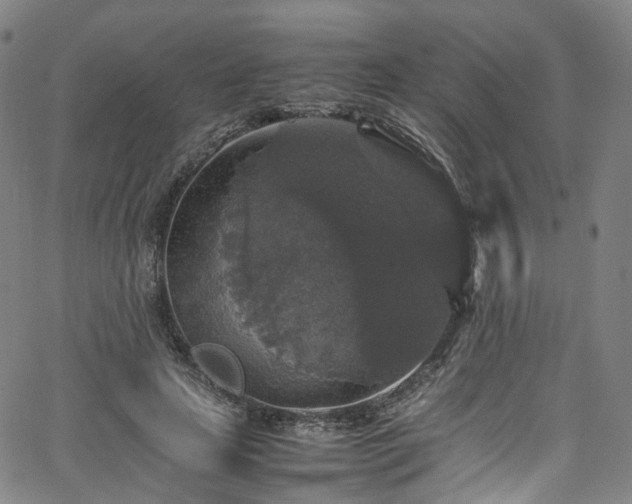 X0000065980641200603101423