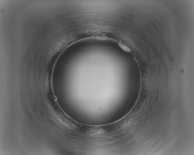 X0000065980642200603101423