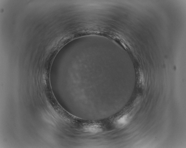 X0000065980643200603101423